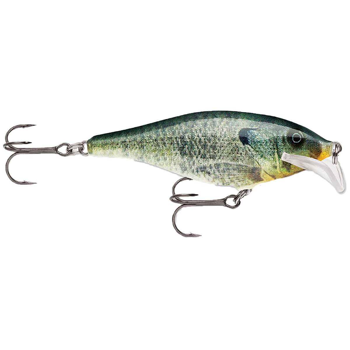 Rapala Scatter Rap Shad Live Bluegill; 2 3/4 in.