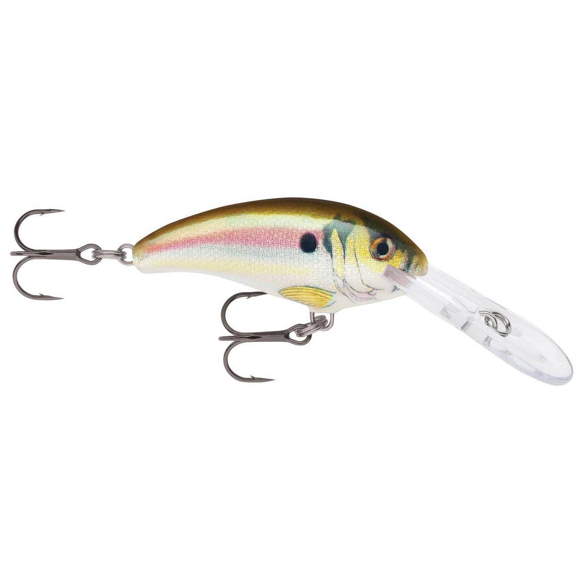 Rapala Shad Dancer Crankbait - Live River Shad, 1/4oz, 2in, 7-10ft - Live River Shad 6 Rapala Shad Dancer Crankbait - Live River Shad, 1/4oz, 2in, 7-10ft - Live River Shad 6