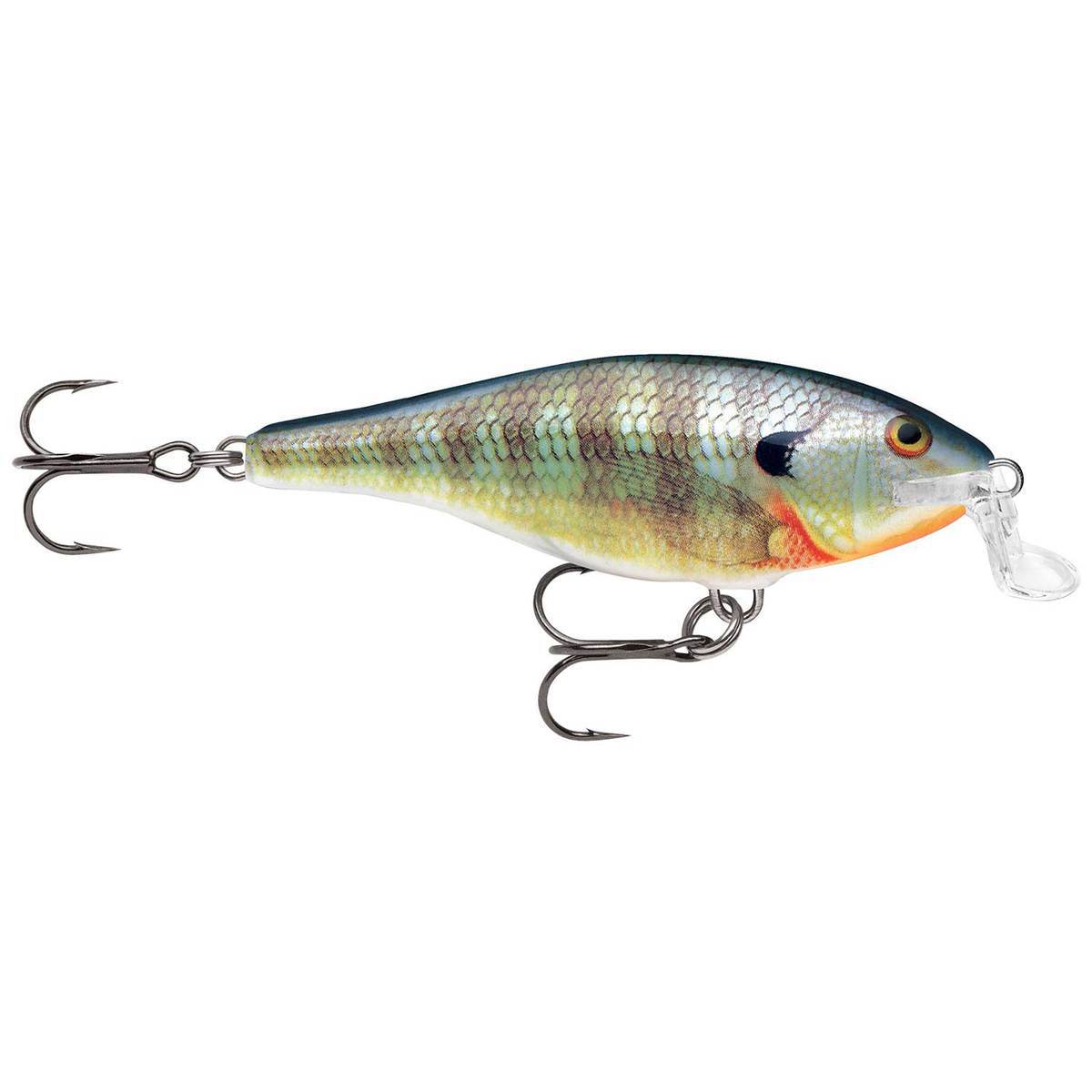 Rapala Shallow Shad Rap Crankbait Rapala Shallow Shad Rap Crankbait