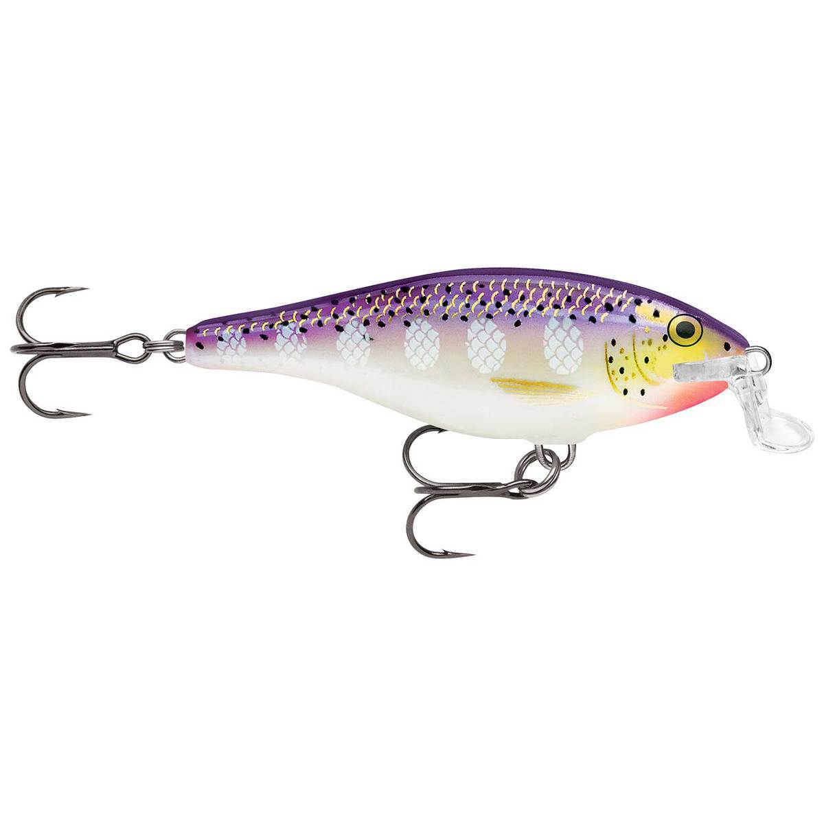 Rapala Shallow Shad Rap Crankbait Rapala Shallow Shad Rap Crankbait