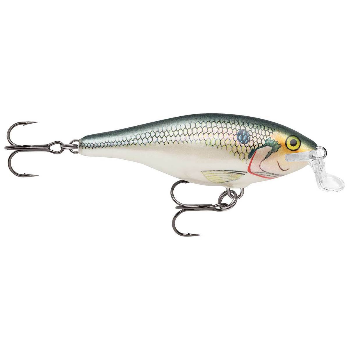 Rapala Shallow Shad Rap Crankbait Rapala Shallow Shad Rap Crankbait