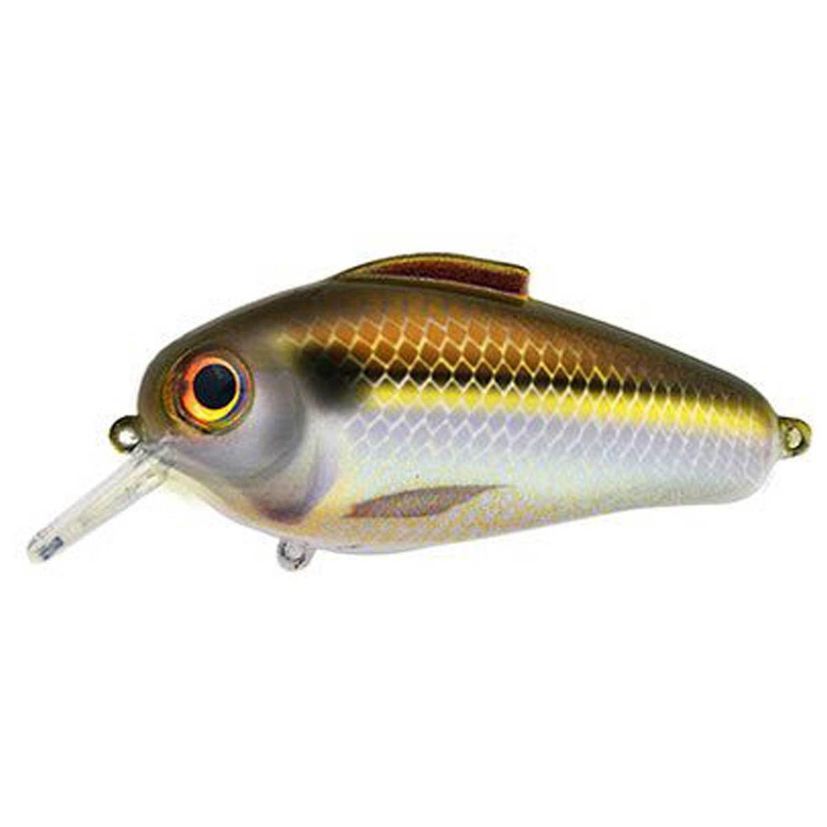 Shad Rattle Trap Rat-l-trap Bill Lewis Echo 1.75 Squarebill Crankbait - Gizzard Shad, 2 ...