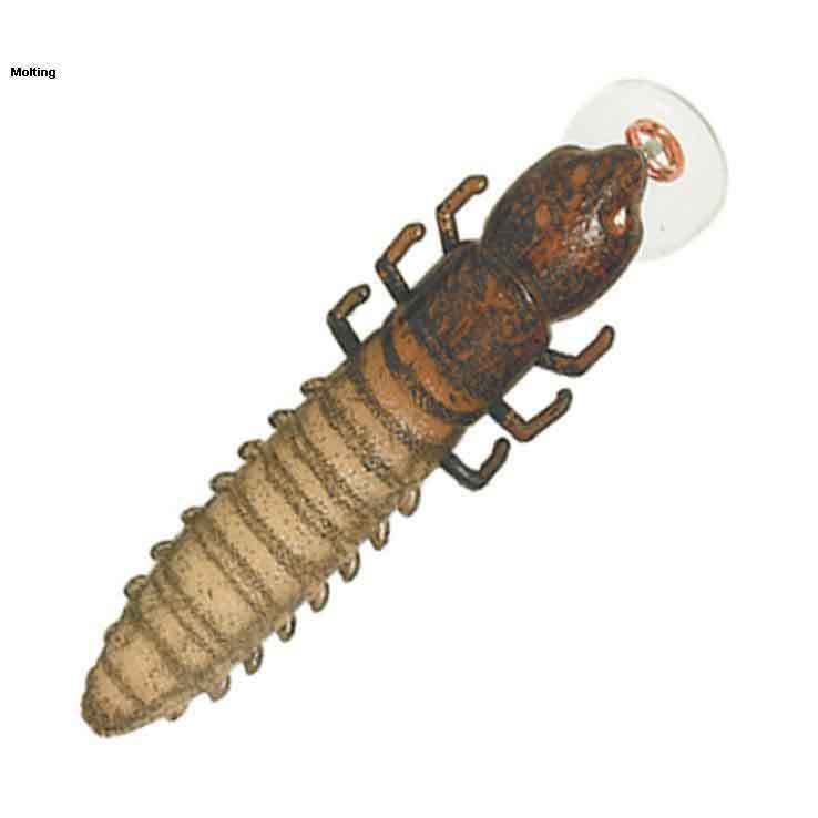 Rebel Hellgramite Deep Diving Crankbait Rebel Hellgramite Deep Diving Crankbait