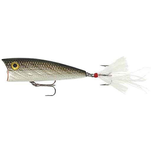 Rebel Teeny Pop-R Fishing Lure Topwater Hard Bait – Tennessee Shad 8
