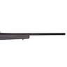 Remington 700 Alpha 1 Black Bolt Action Rifle - 22-250 Remington - 22in - Black