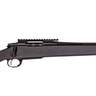 Remington 700 Alpha 1 Black Bolt Action Rifle - 223 Remington - 22in - Black