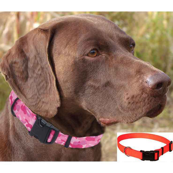 Remington Nylon 1 Inch Orange Adjustable Collar Remington Nylon 1 Inch Orange Adjustable Collar