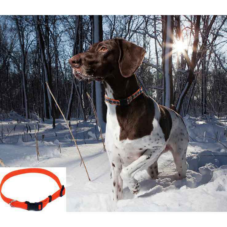 Remington Nylon 3/4 Inch Orange Adjustable Collar Remington Nylon 3/4 Inch Orange Adjustable Collar
