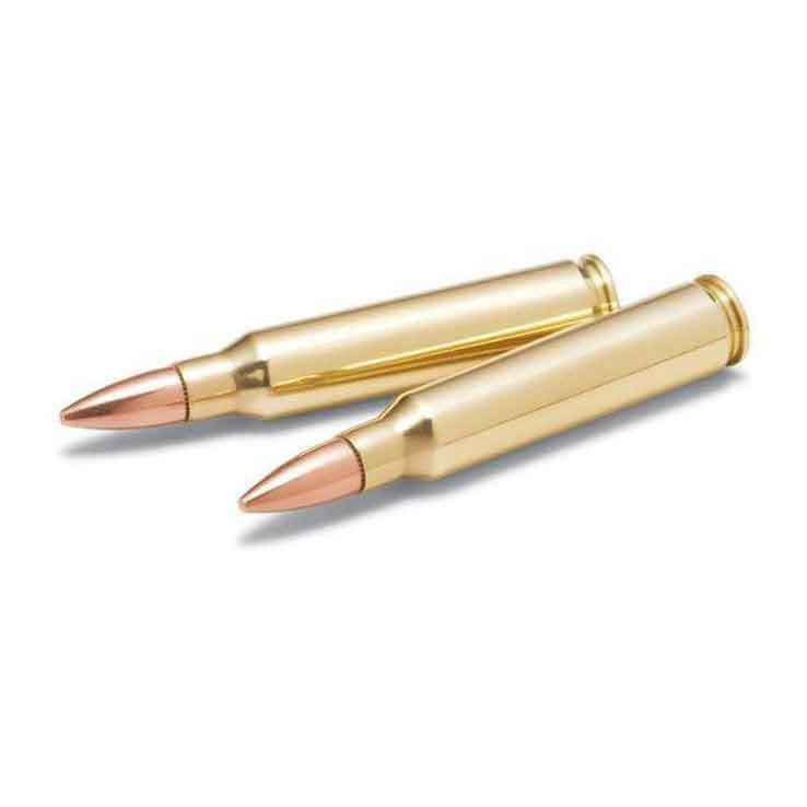 Remington UMC Freedom Bucket 223 Remington 55gr FMJ Rifle Ammo - 300 Rounds Remington UMC Freedom Bucket 223 Remington 55gr FMJ Rifle Ammo - 300 Rounds