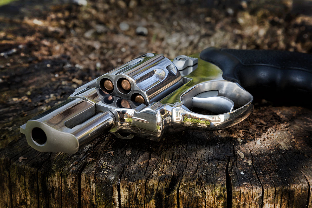 revolver on tree stump