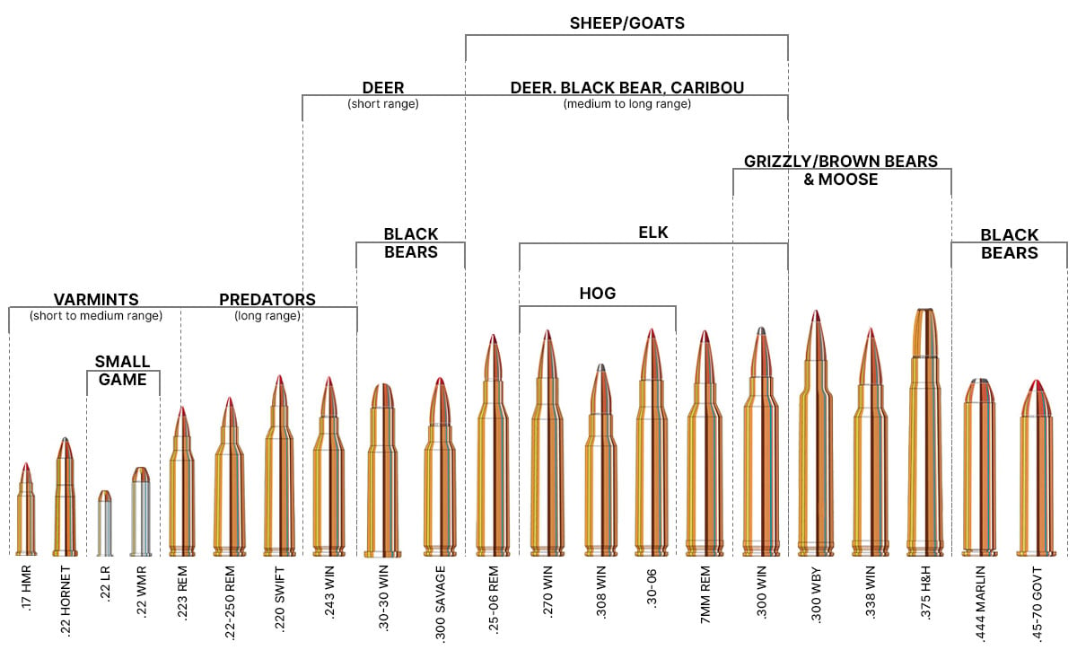 Rifle caliber chart