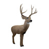 Rinehart 3-D Woodland Mule Deer Archery Target - Brown