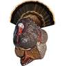 Rinehart Spot & Stalk Decoy Turkey Target - Brown