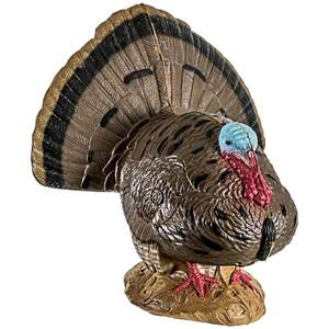 Rinehart Strutting Turkey 3D Target