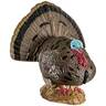 Rinehart Strutting Turkey 3D Target - Black