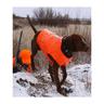 Rivers West H2P Pointer Dog Vest - Blaze Orange XL