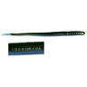 Roboworm Fat Straight Tail Worm - Green Shiner, 6in - Green Shiner