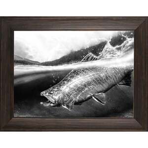 Rocky Mountain Publishing Brook Trout Canvas Giclée Wall Art - 20in x 30in