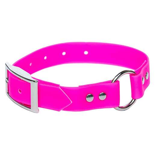 ROCT Upland Field Polyester Webbing Collar - Pink 24-28in