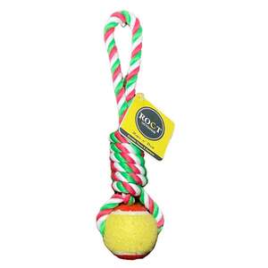 ROCT Outdoor Rope N' Ball Dog Toy