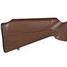 Rossi RS22 Matte Black/Hardwood Semi Automatic Rifle - 22 Long Rifle - Hardwood