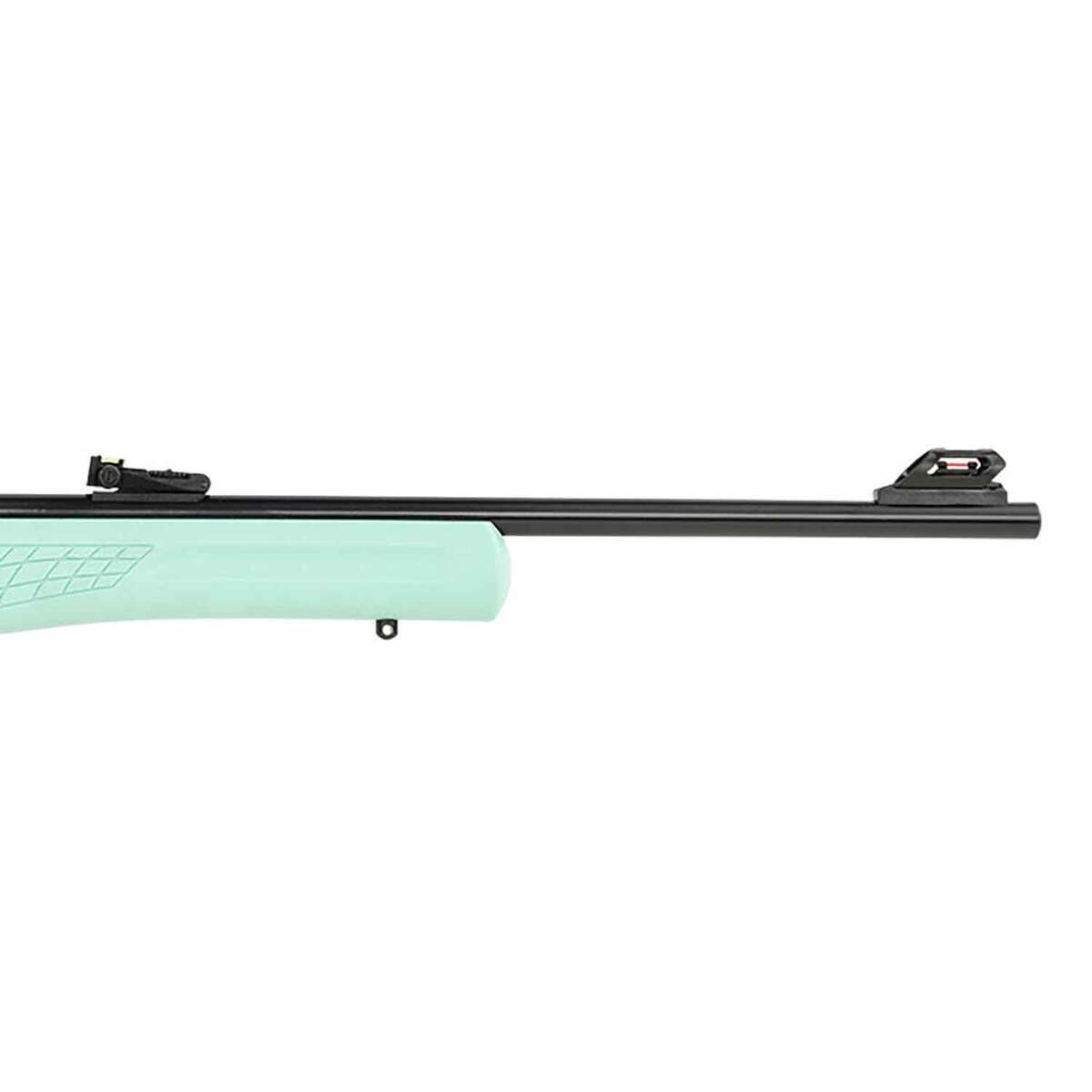 Rossi RS22 Teal Semi Automatic Rifle - 22 Long Rifle - 18in - Teal Rossi RS22 Teal Semi Automatic Rifle - 22 Long Rifle - 18in - Teal
