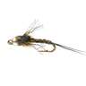 RoundRocks Bead Baetis Nymph Fly - 6 Pack | Sportsman's Warehouse