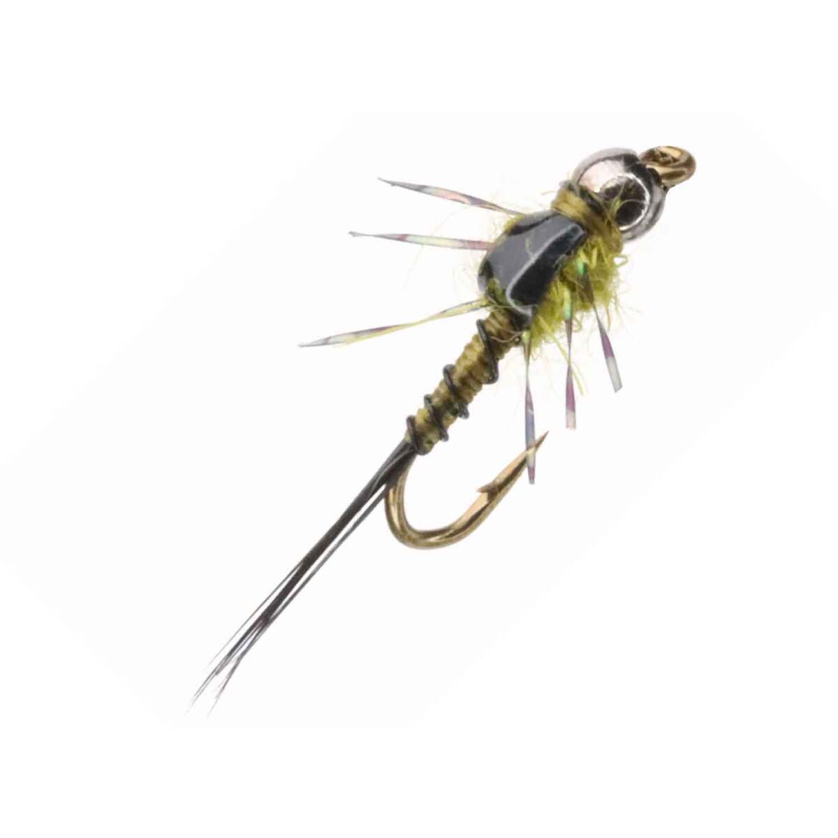RoundRocks Bug E Nymph Fly - Olive, Size 16, 6 Pack | Sportsman's Warehouse