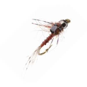 RoundRocks Bug E Nymph Fly - Rust, Size 16, 6 Pack