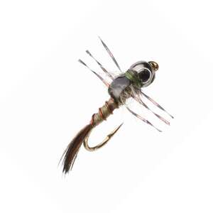 RoundRocks Bug E Nymph Fly - 6 Pack | Sportsman's Warehouse