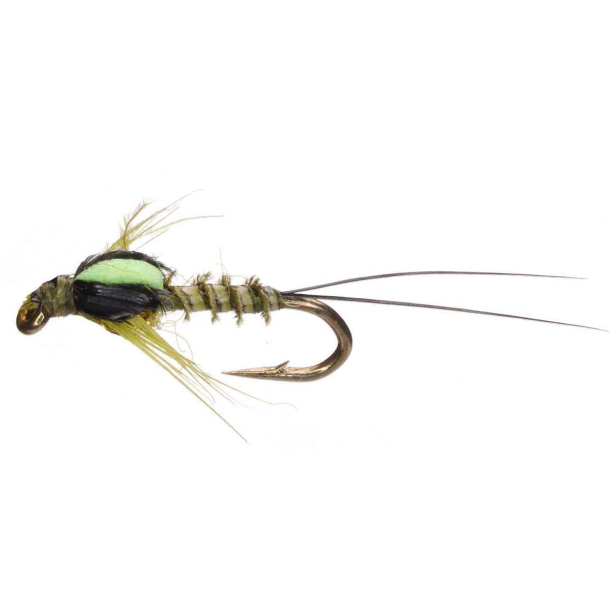 RoundRocks Cracked BWO Nymph Fly - 6 Pack - Green 6 by Sportsman's Warehouse