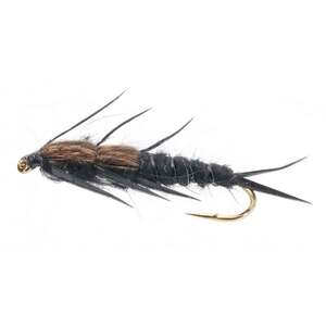 RoundRocks Double Bead Fly - Black, Size 6, 6 Pack
