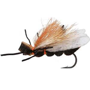 RoundRocks Fluttering Salmonfly Fly - Brown, Size 4, 6 Pack