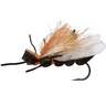 RoundRocks Fluttering Salmonfly Fly - Brown, Size 4, 6 Pack - Brown 4