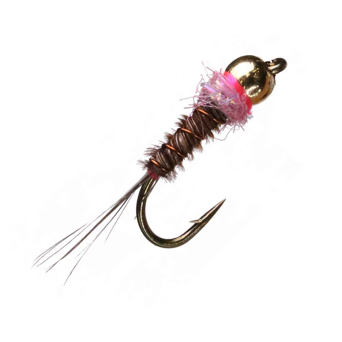 RoundRocks French Nymph Fly - 6 Pack | Sportsman's Warehouse