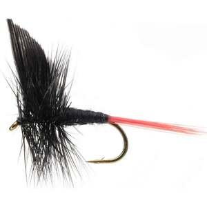 RoundRocks Gnat Dry Fly - Black, Size 12, 12Pk