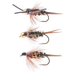 RoundRocks Prince Nymph Fly Assortment - 6 Pack