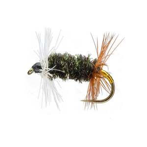 RoundRocks Renegade Fly - 6 Pack