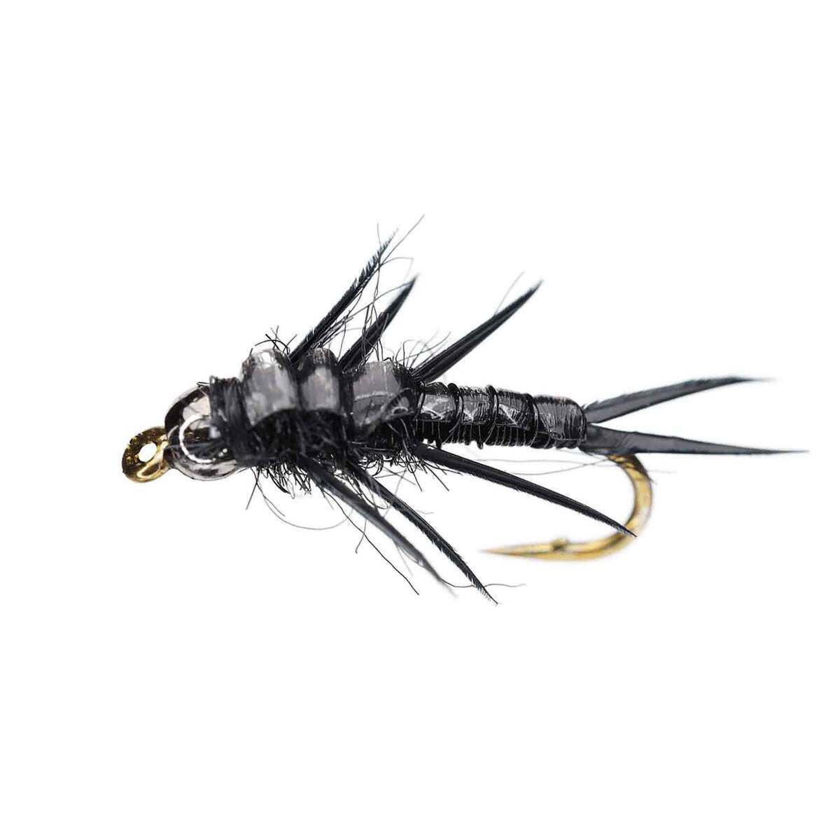 RoundRocks Rolling Stonefly Nymph Fly - 6 Pack | Sportsman's Warehouse