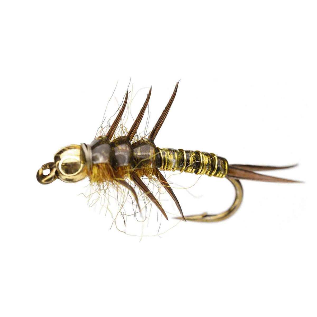 RoundRocks Rolling Stonefly Nymph Fly - 6 Pack | Sportsman's Warehouse