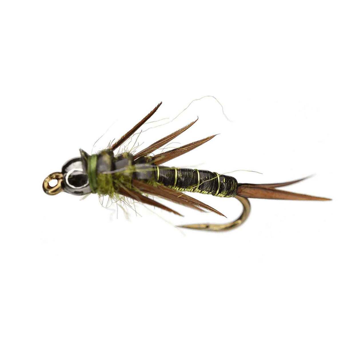 RoundRocks Rolling Stonefly Nymph Fly - 6 Pack | Sportsman's Warehouse