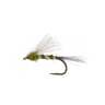 RoundRocks RS2 BWO Fly - 6 Pack | Sportsman's Warehouse