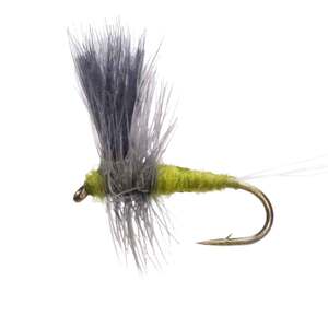 RoundRocks Thorax Fly - 6 Pack