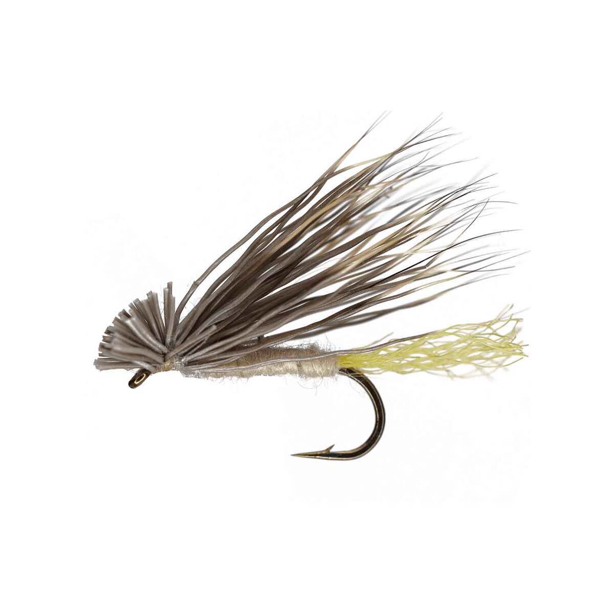 RoundRocks x Caddis Fly - 6 Pack - Green 18 by Sportsman's Warehouse