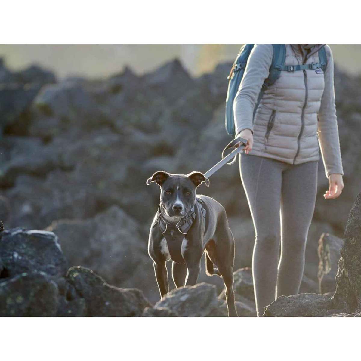 Ruffwear Front Range Dog Harness Ruffwear Front Range Dog Harness