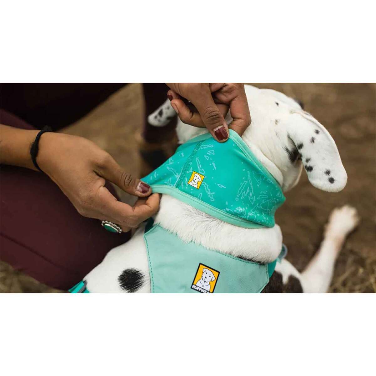 Ruffwear Swamp Cooler Dog Cooling Neck Gaiter - Medium - Blue/Purple - Blue Medium Ruffwear Swamp Cooler Dog Cooling Neck Gaiter - Medium - Blue/Purple - Blue Medium