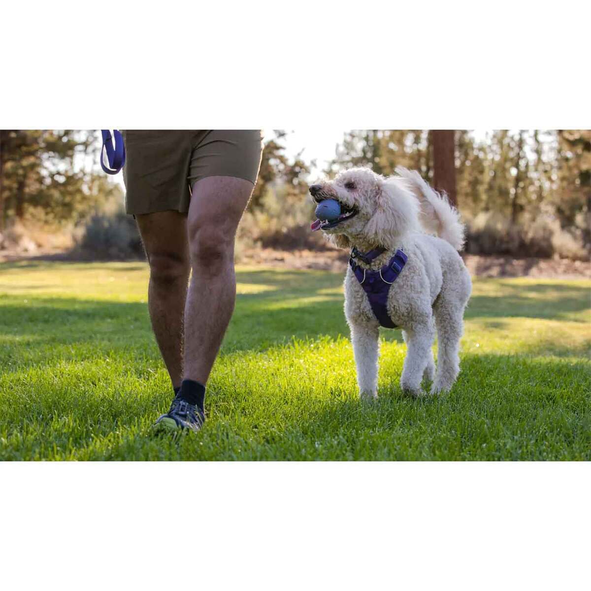 Ruffwear Turnup Rubber Throw Dog Toy - Heliotrope Purple - Purple Ruffwear Turnup Rubber Throw Dog Toy - Heliotrope Purple - Purple