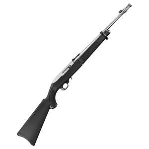 Ruger 10/22 Takedown Matte Stainless Semi Automatic Rifle - 22 Long Rifle - 16.4in