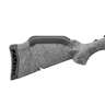 Ruger American Rifle Generation II 204 Ruger Gun Metal Gray Cerakote Bolt Action Rifle - 20in - Gray