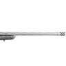 Ruger American Rifle Generation II 204 Ruger Gun Metal Gray Cerakote Bolt Action Rifle - 20in - Gray